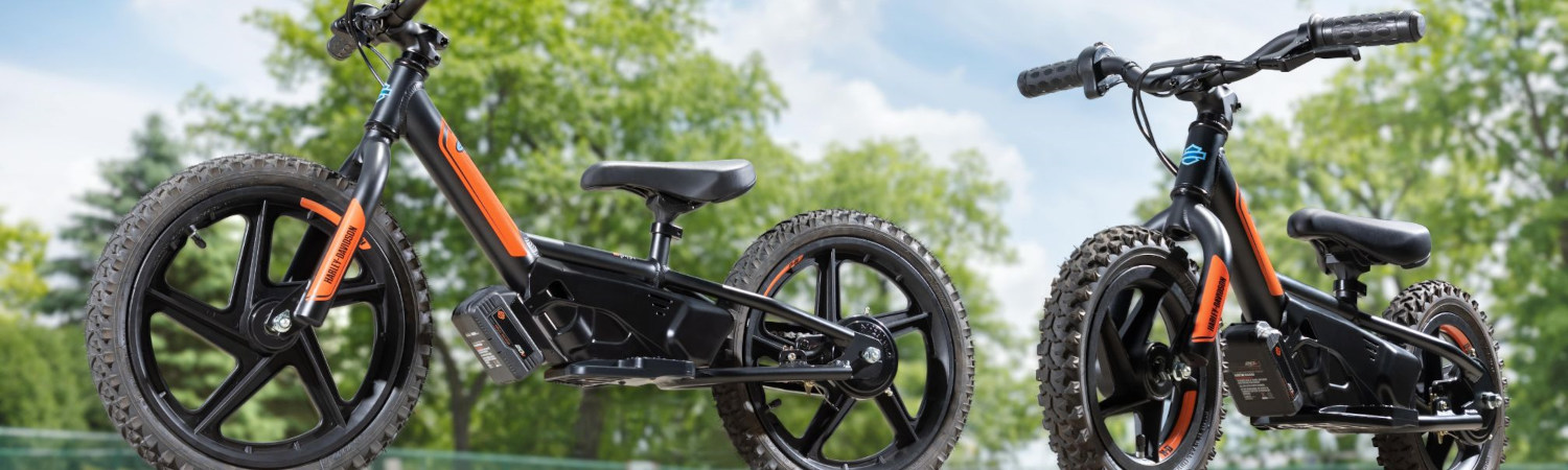 Harley-Davidson® IRONe12™ & IRONe16™ for sale in Destination Harley-Davidson® of Silverdale, Silverdale, Washington