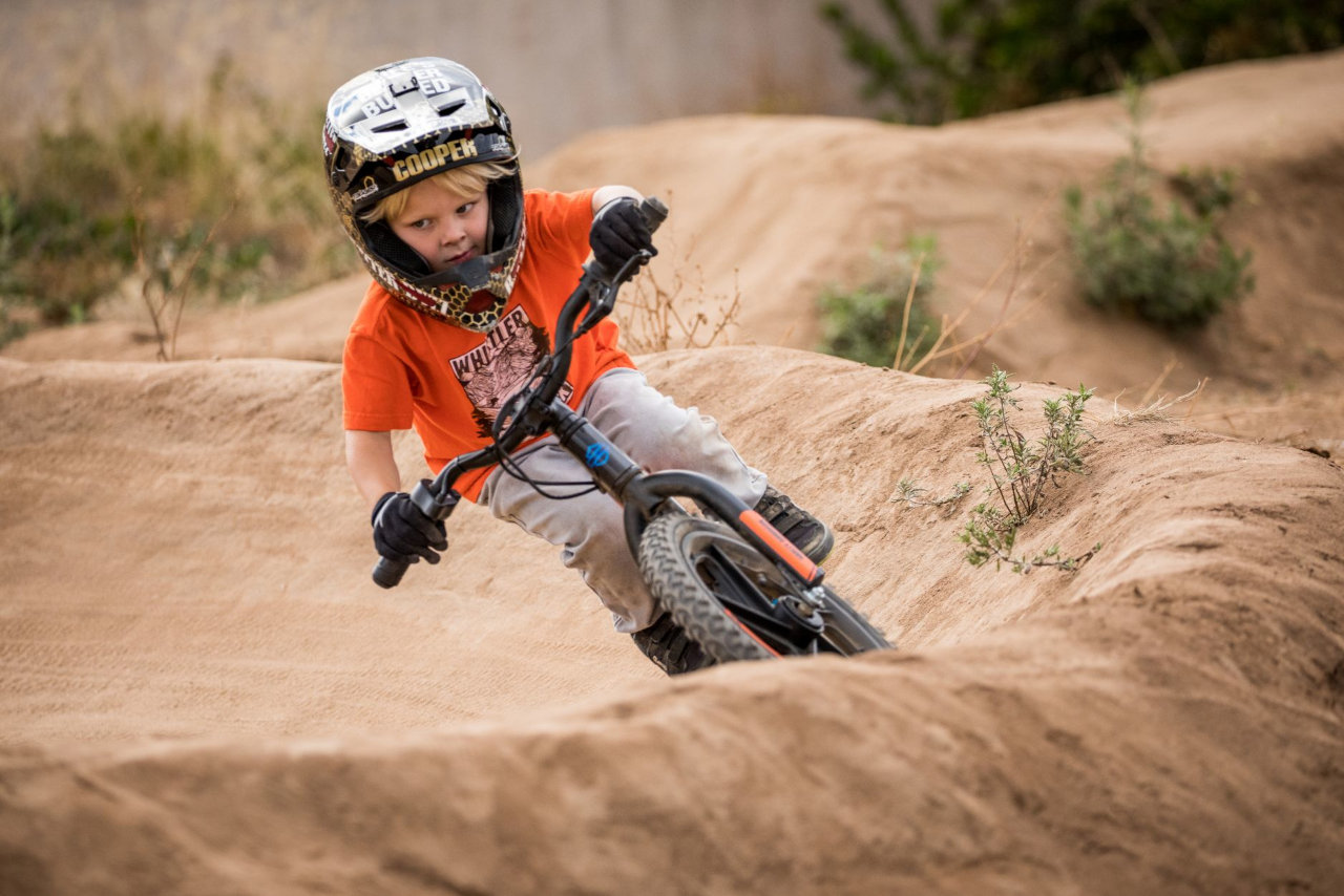 IRONe™ Available at Destination Harley-Davidson® of Silverdale #6